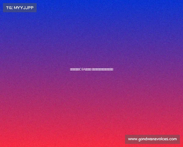 篮协尚未批准CBA外援合同 各队引援计划面临重大不确定性 篮协尚未批准CBA外援合同 各队引援计划面临重大不确定性